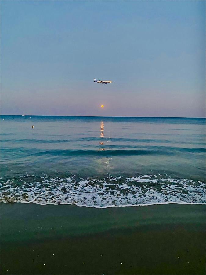 Bali 303 Larnaca